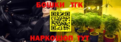 индика Татарск