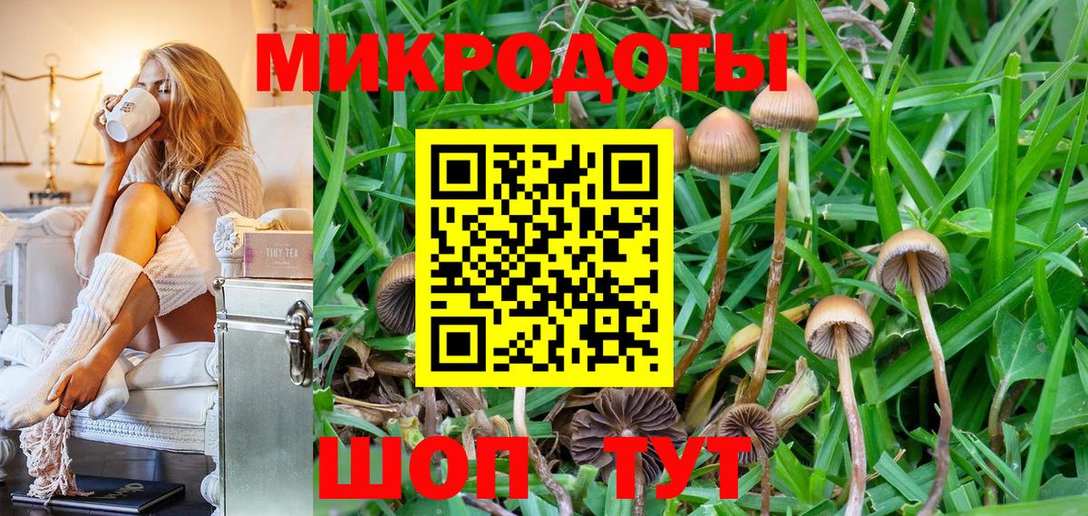 закладка  Псилоцибиновые грибы Magic Shrooms  Вход с VPN  Нововоронеж  Галлюциногенные грибы мухоморы 