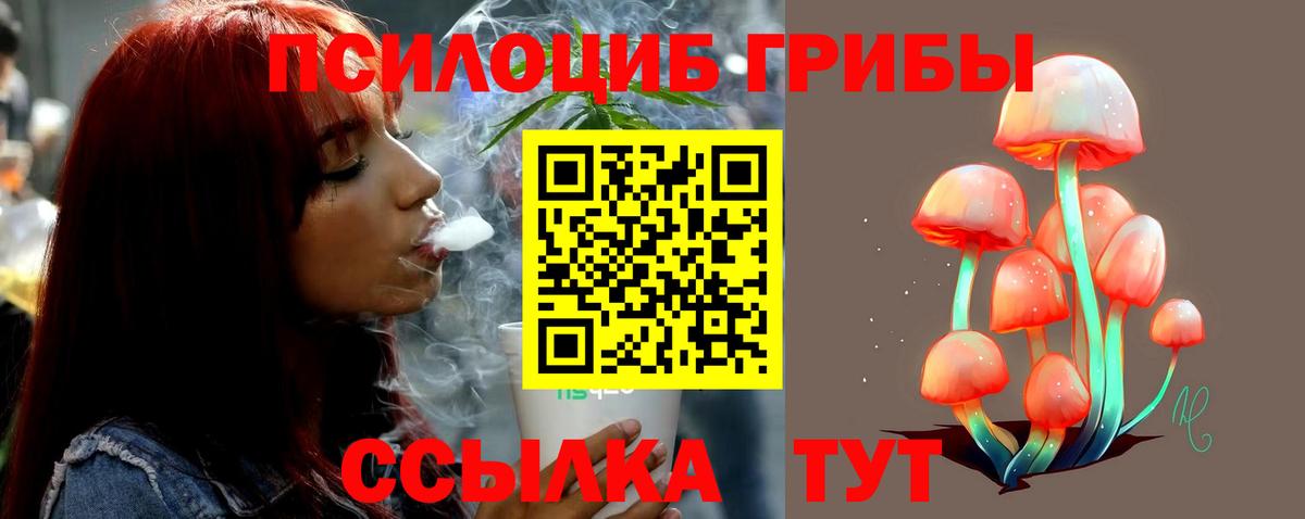 Галлюциногенные грибы GOLDEN TEACHER Нововоронеж